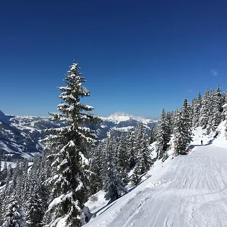 Lejlighed 12, Am Sonnenhang, Hochstrasse Schladming