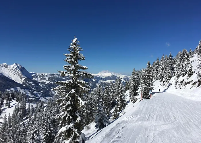 Apartman 12, Am Sonnenhang, Hochstrasse Schladming